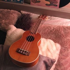 Brand New Ukulele